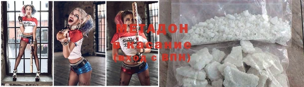 индика Аркадак