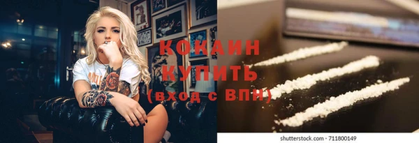 индика Аркадак