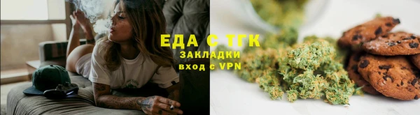 индика Аркадак