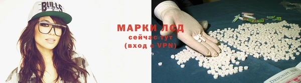 индика Аркадак