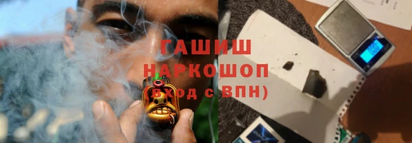 индика Аркадак