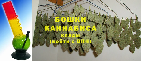 apvp Арсеньев