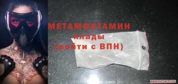 индика Аркадак