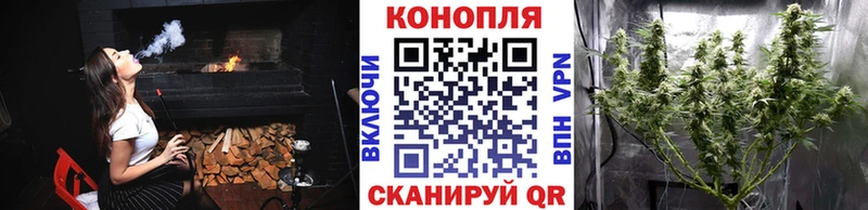 Марихуана план  что такое   Нововоронеж 